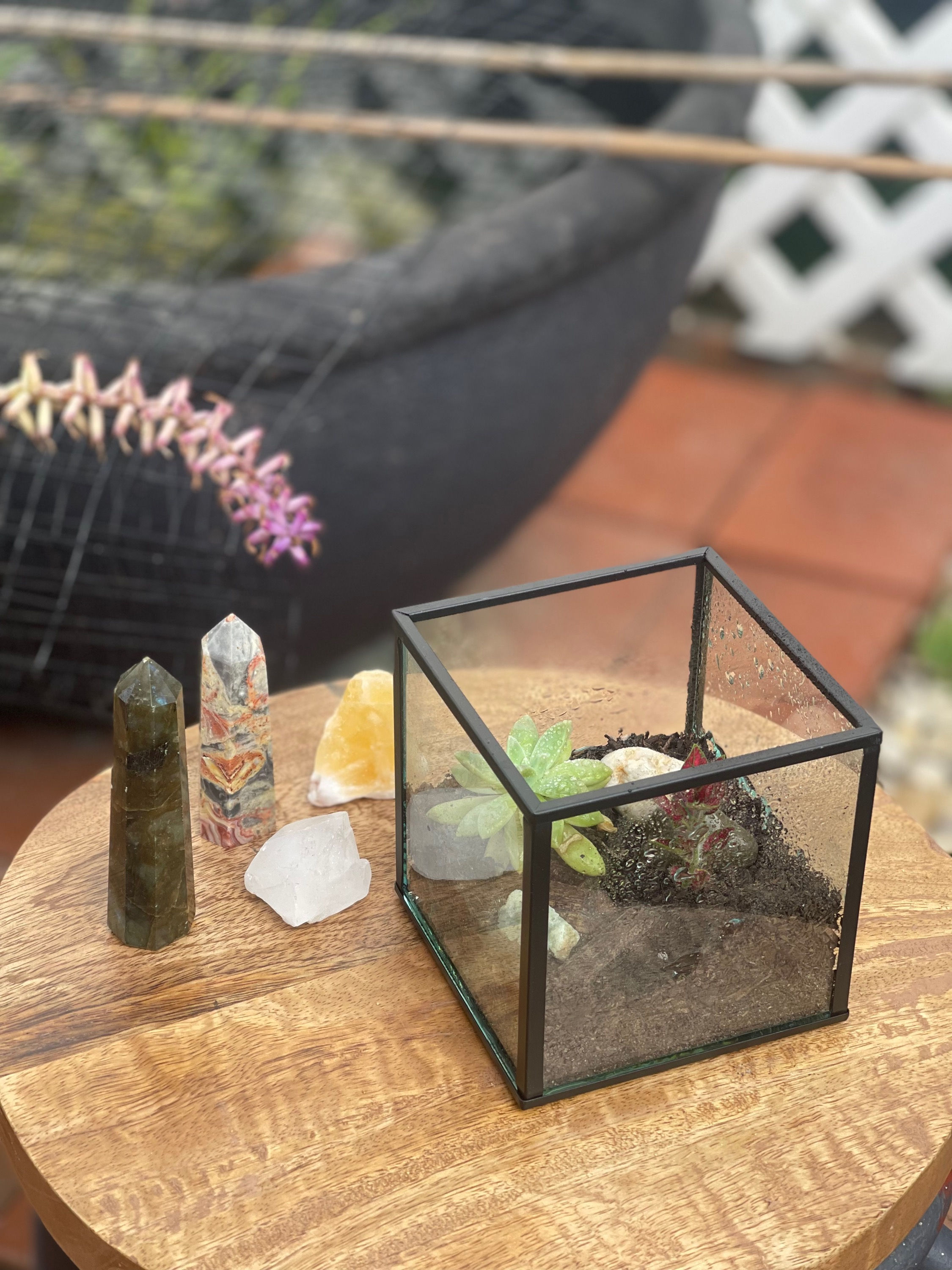 Terrarium