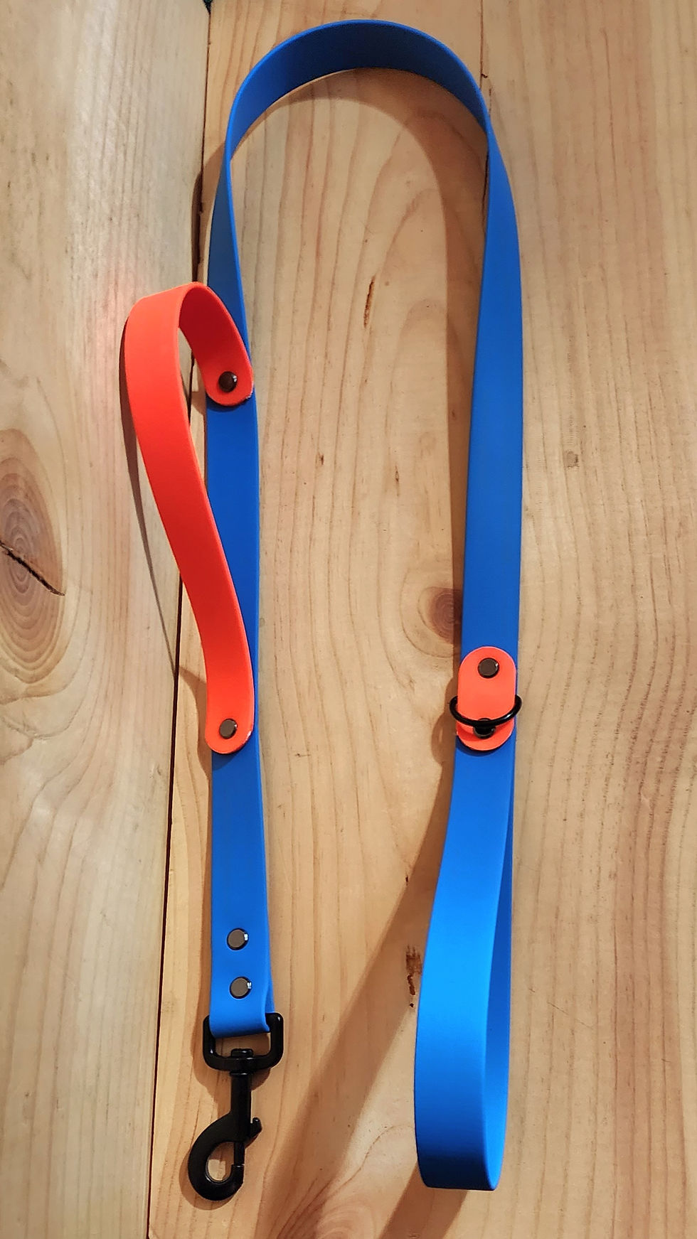 Thumbnail: 2 Handle Biothane Leash