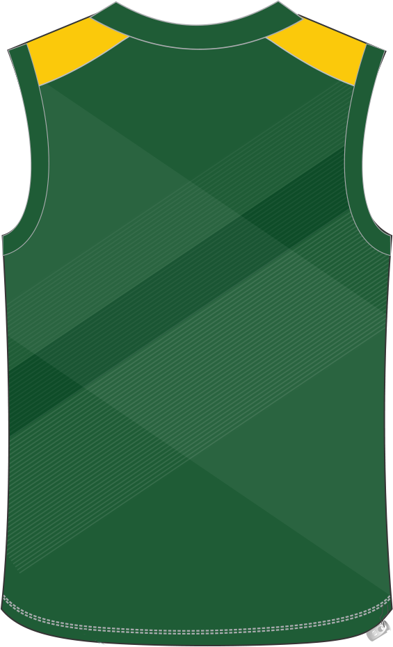 Thumbnail: Reversible Vest