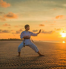 arte martiale....jpg