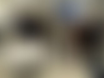 Uplifting the Next Generation: Mentoring Journey Middle School Students