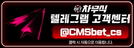 차무식벳