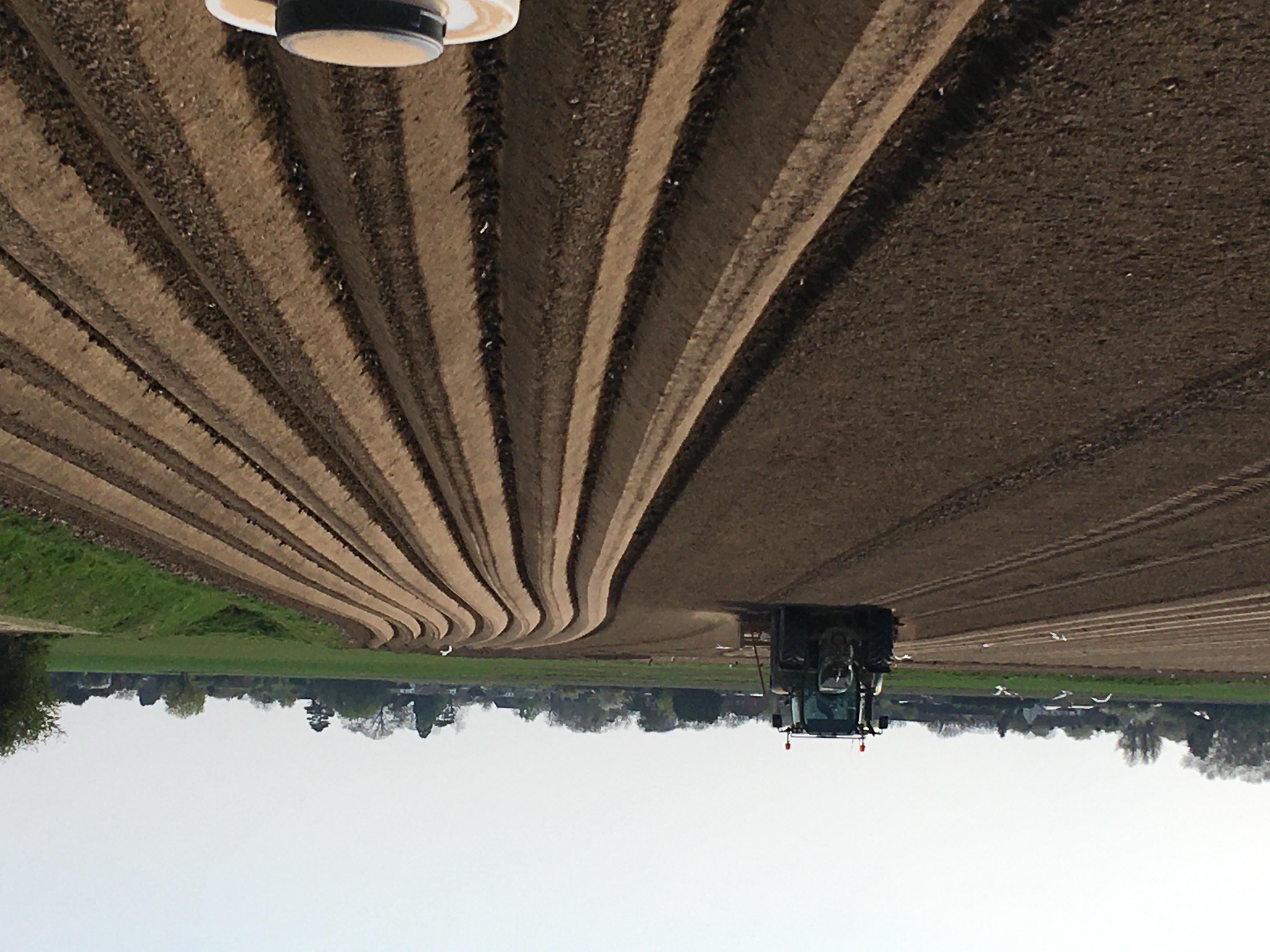 Gallery willowtreefarm