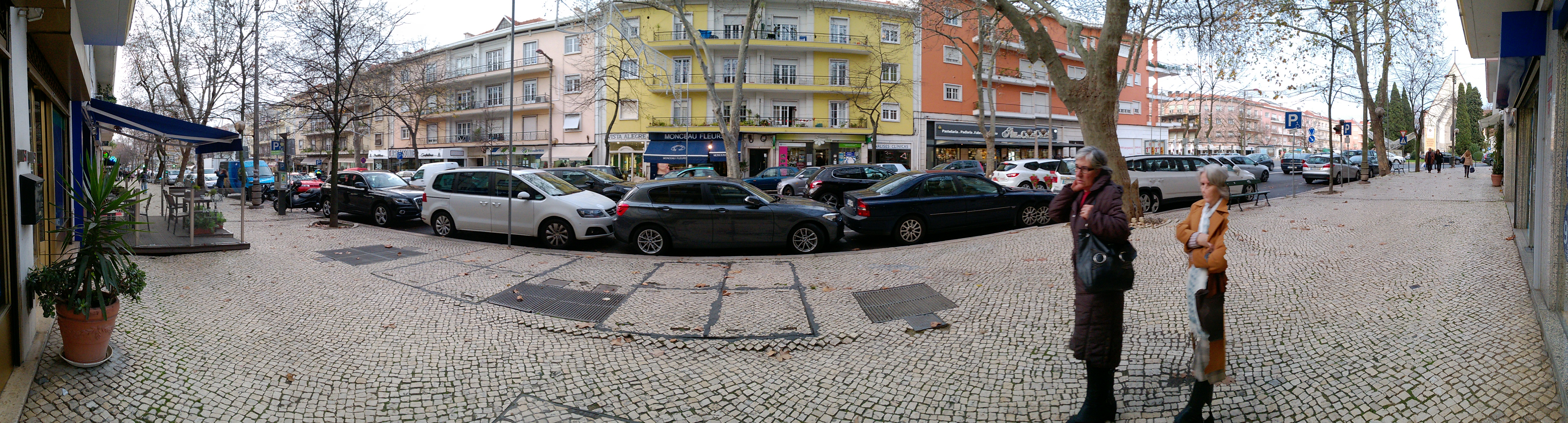 WP_20170103_16_52_59_Panorama