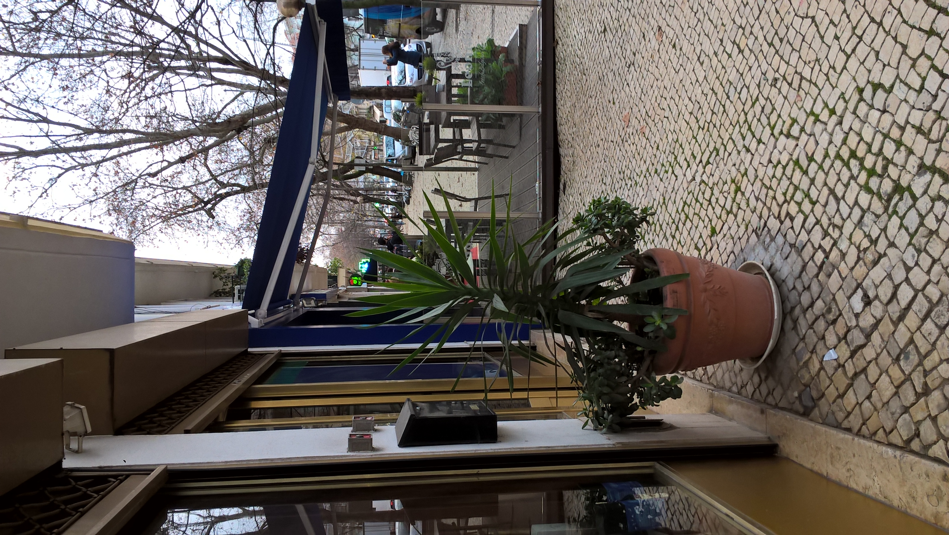 WP_20170103_16_52_55_Pro