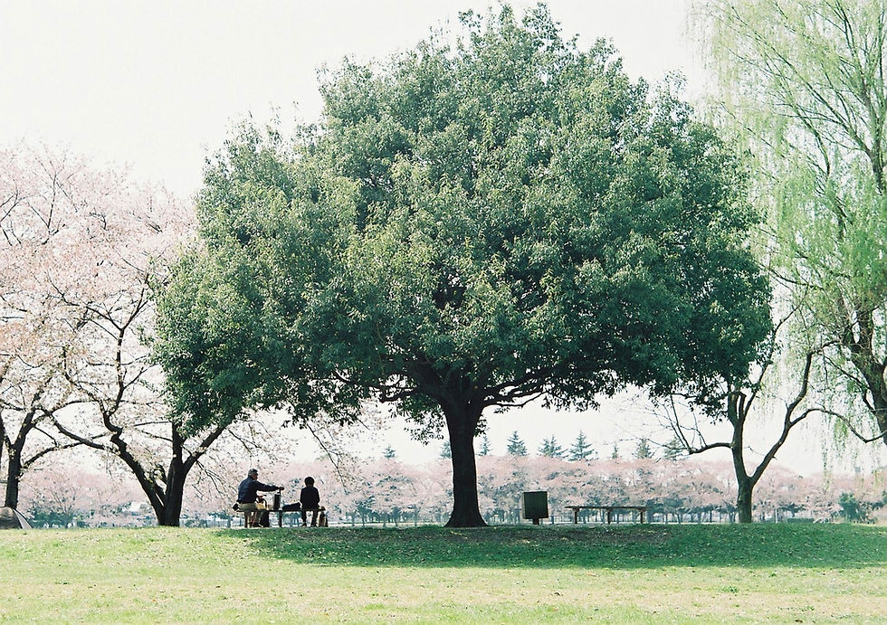 film