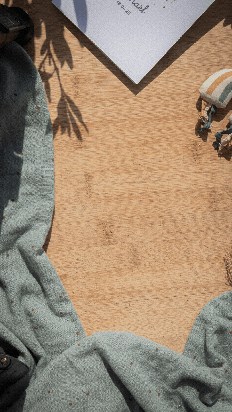 GIF FP Raphael.gif