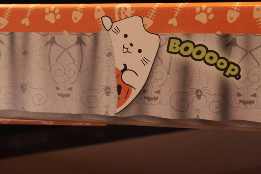 A closeup of one of the sides of the box of the BOOoop. game box. It features one of the white pumpkin Cats and the word BOOoop.