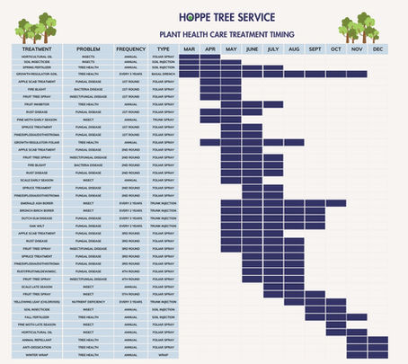 Plant Health Care Treatment Timing