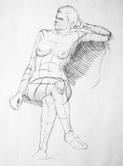 _Cross-Contour Figure