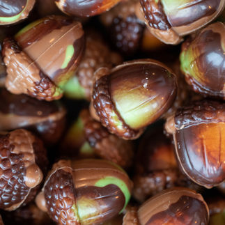 Div 2021 Chocoladeboetiek-3198.jpg