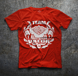 team-valor