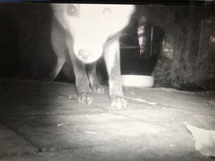 Bribery is bad, unless it involves cake…