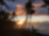Hawaiian sunset at the beach, with palm trees