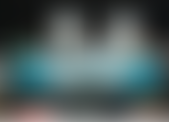 Seminário de Apresentação do Projeto Tecendo Redes