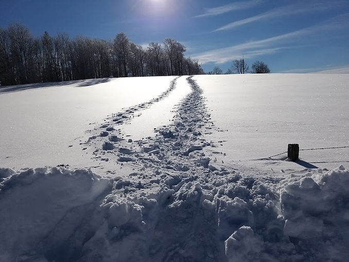 TRACES DE PAS DANS LA NEIGE BEAU PAYSAGE ENSOLEILLÉ