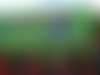 INVERSIONES LOS RÍOS