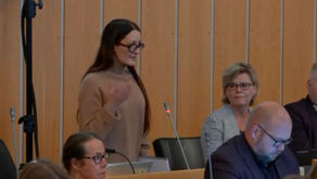 Pirkanmaan aluevaltuuston kokouksessa (7.11.2022) esiteltiin hyvinvointialueen strategialuonnos 