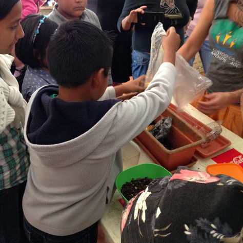 Taller de la RHEC en el Festival Biocultural, Red de Custodios del Archipiélago