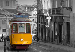 Lisbon Trams