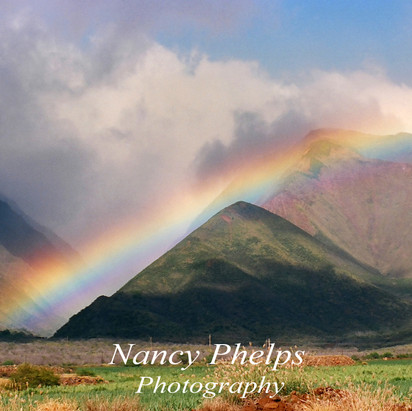 Laniaupoko Rainbow2.jpg