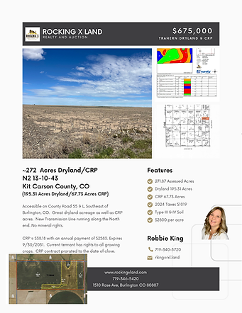 N2 13-10-43 Real Estate Flyer.png