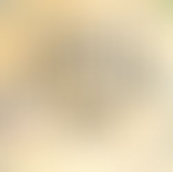 Orange Ribbon Campaign - A History of Refugee Day