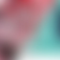 CFN Collaborates with The Immigrant Council for Arts Innovation