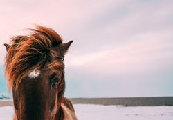 pexels-photo-112628