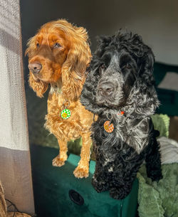 EF2BFC73-620B-4244-930C-6C6E2AA024F9