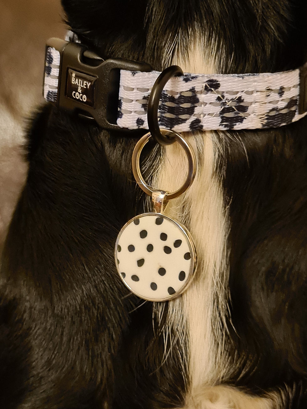 Thumbnail: Animal Print tag