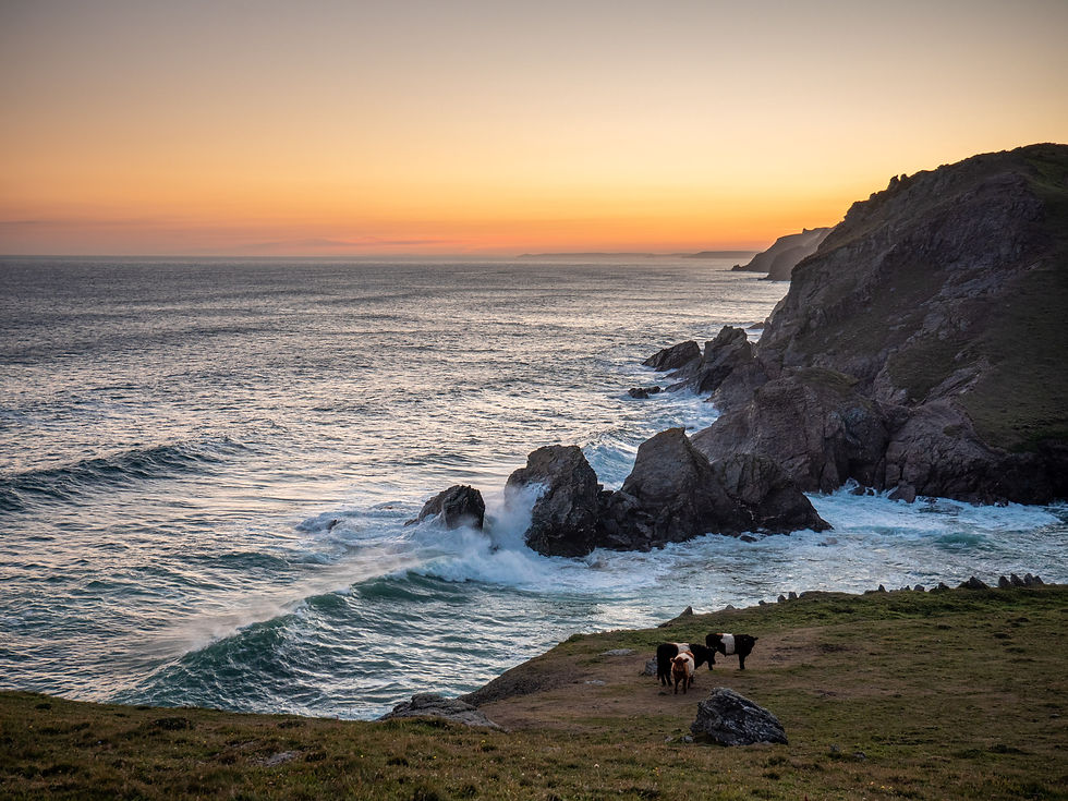 website landscape photos-5.jpg