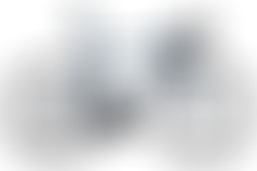 PINARELLO PARIS DISK