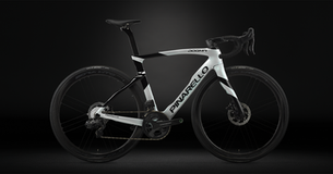 DOGMA F