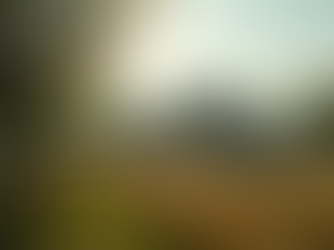 文化遺産管理の重要性とYAMAYAの役割