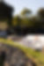 movie night picnic by nature san diego 6.jpg