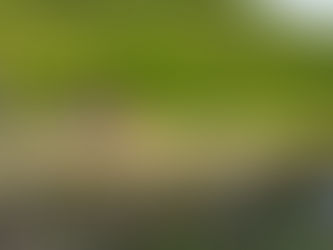 Tunisia Outdoors Community: Why?