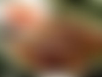 Future of the Fish Market: Aquaculture to Cold Chain