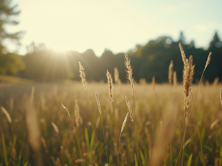 Practical Ways to Manifest Your Dreams