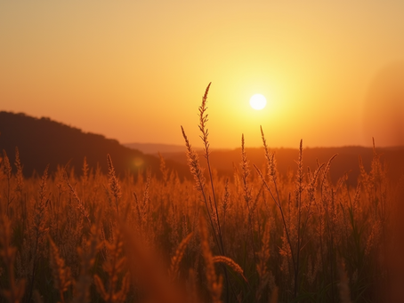 Elevating Your Vibration: How a Higher Frequency Changes Your Perception