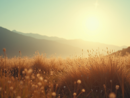 The Interplay of Thoughts, Emotions, and Manifesting