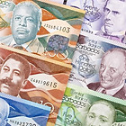 cash.jpg