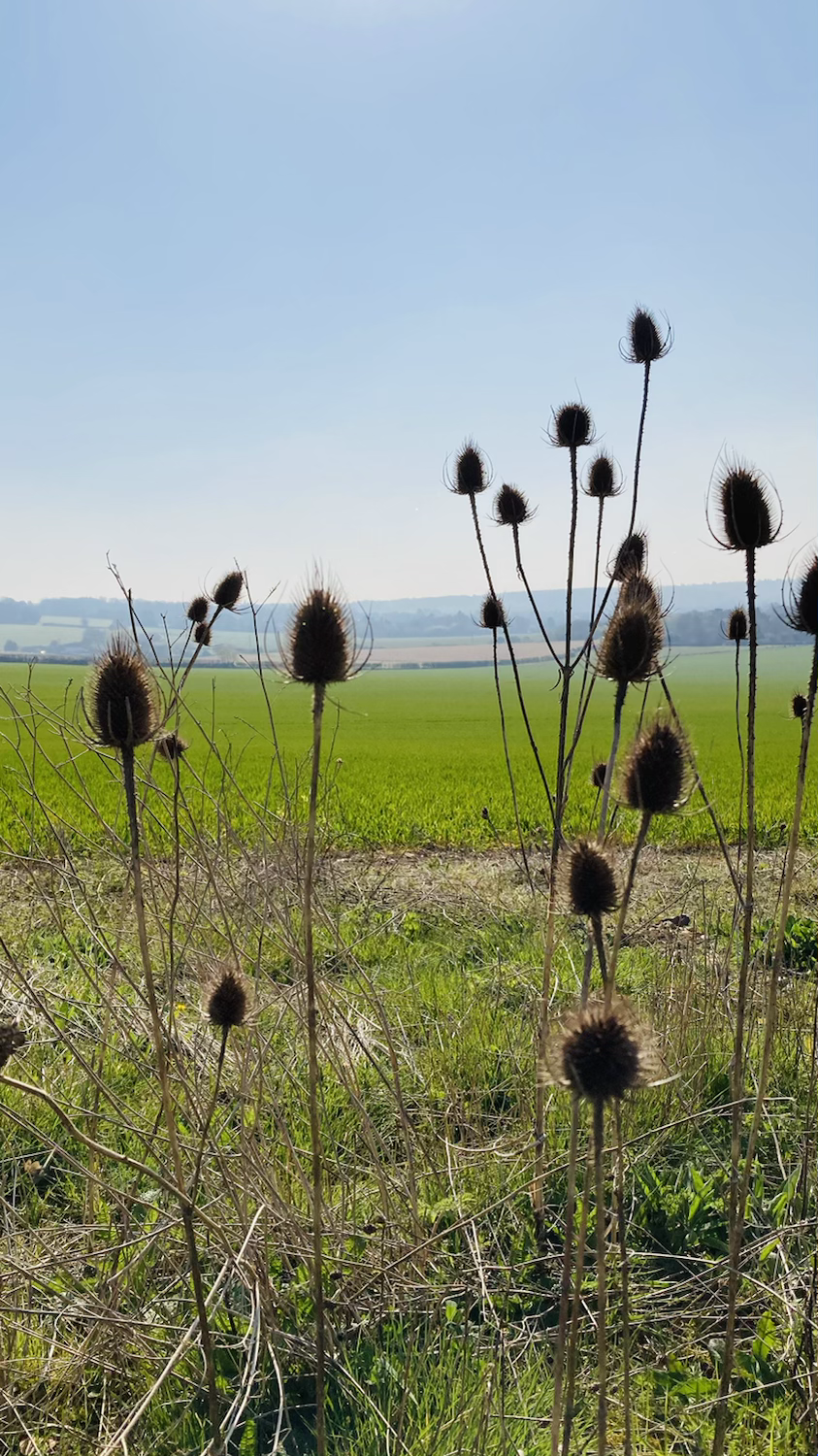 Stunning Chiltern Landscape