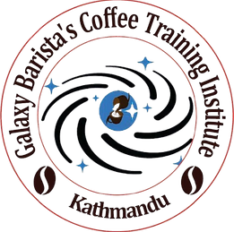 Galaxy_Training_Institute-removebg-preview.png