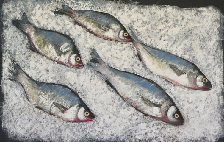 Catch of the day | Fish | Pastels |11x17