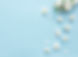 Spring border background with beautiful white flowering branches. Blue background, bloom d