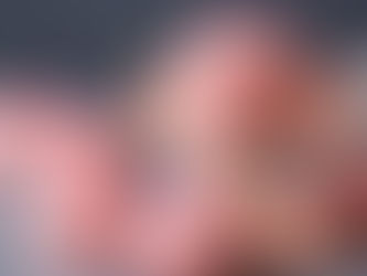 The Ultimate Beginner’s Guide to French Macarons