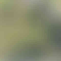 Geländeplan für die Camper & Vanlife Event Messe in Springe bei Hannover 2026