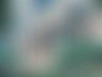 CAP. VIII – ARTIGO 7 - A importância da posição favorável do governo norte-americano sobre as criptomoedas