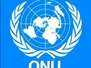 CAP. VI - ARTIGO 14 - O Poder de Veto na ONU e seu Impacto na Política Internacional